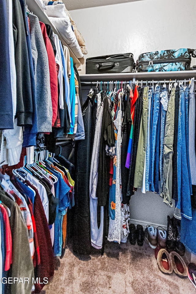 spacious closet with carpet flooring