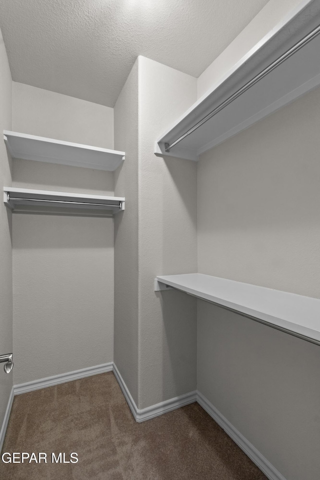 spacious closet featuring dark colored carpet