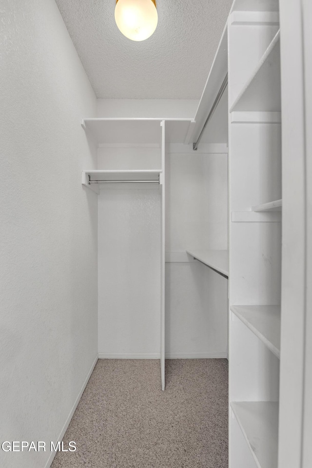 walk in closet featuring carpet