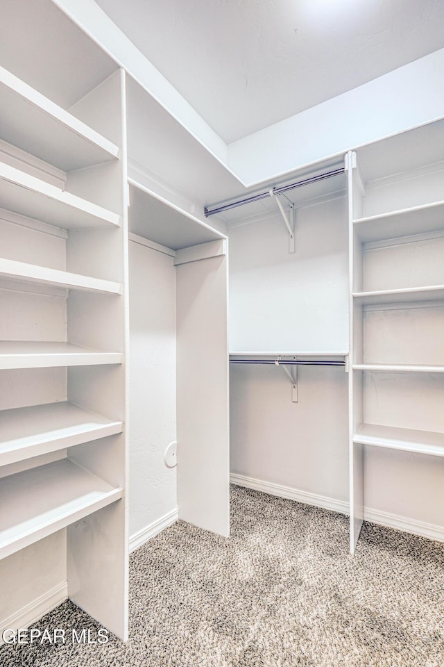 walk in closet with light carpet