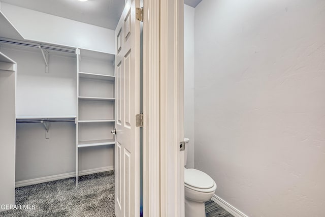 spacious closet with carpet