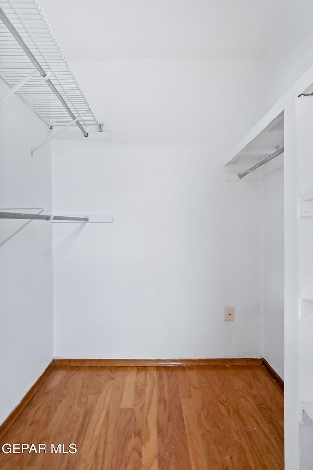 spacious closet featuring hardwood / wood-style floors