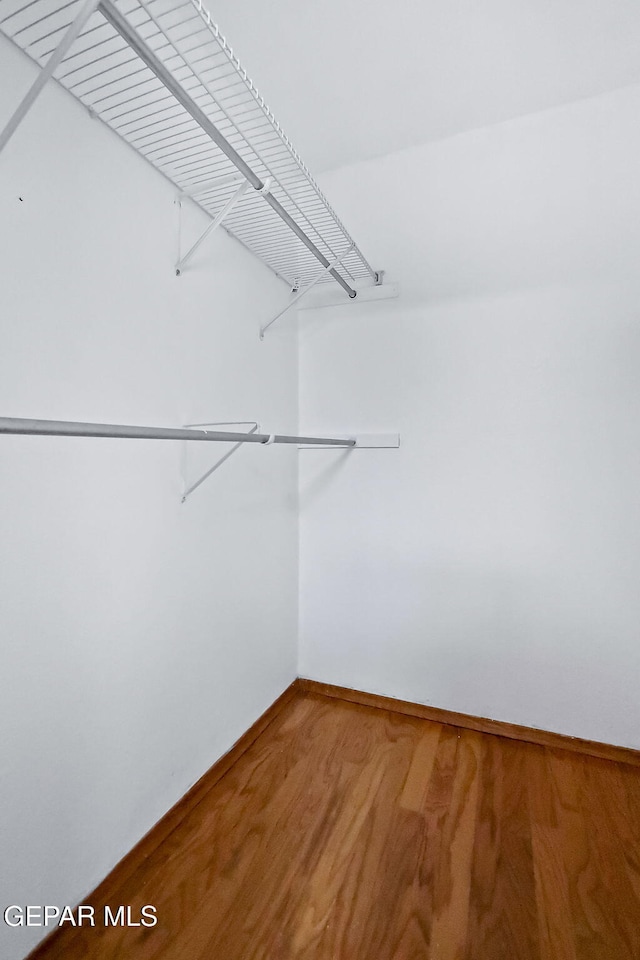 walk in closet featuring hardwood / wood-style floors