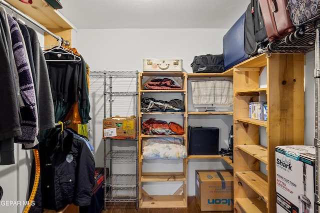 walk in closet with hardwood / wood-style flooring