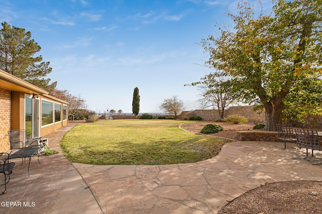 view of yard featuring a patio area