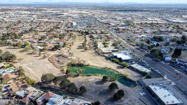 11179 Leo Collins Dr, El Paso, TX 79936