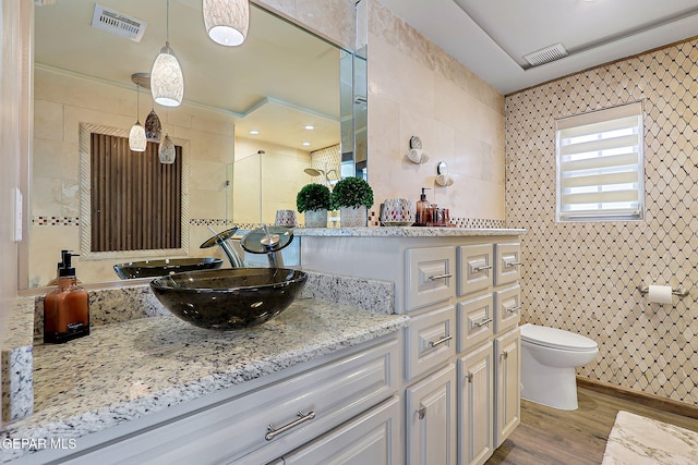 11179 Leo Collins Dr, El Paso, TX 79936 - full bath with tile walls, wood finished floors, toilet, a stall shower, and vanity