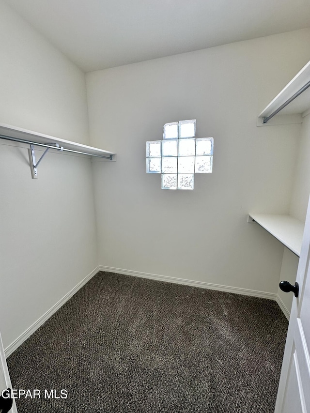 walk in closet featuring carpet