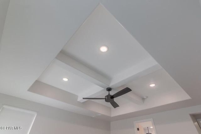 details featuring a tray ceiling and ceiling fan