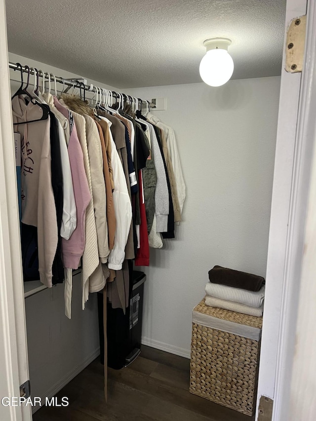 spacious closet featuring dark wood-type flooring