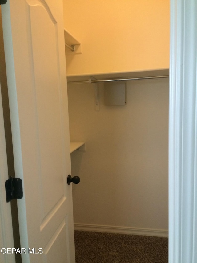 spacious closet featuring dark colored carpet