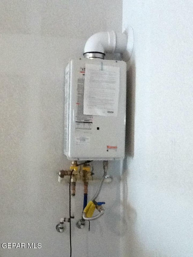 interior details featuring tankless water heater