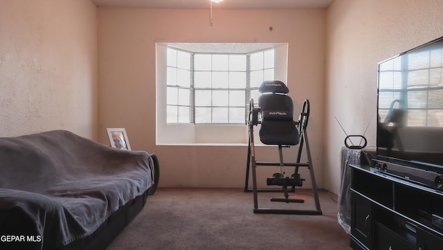 workout room featuring carpet flooring and a wealth of natural light