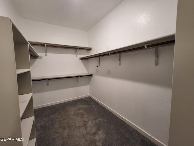 walk in closet with dark colored carpet