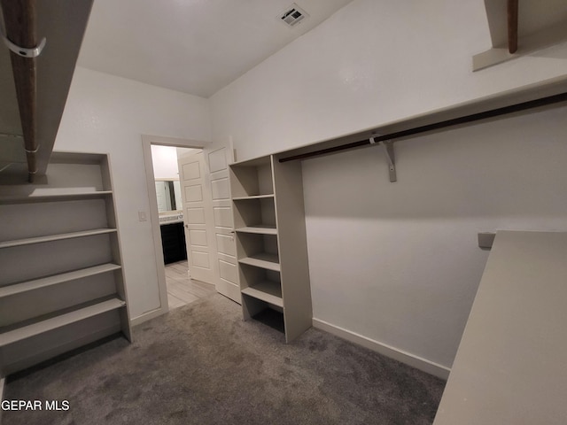 spacious closet featuring carpet floors