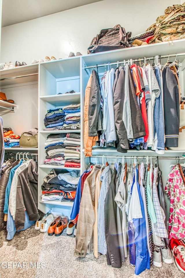 walk in closet featuring carpet floors