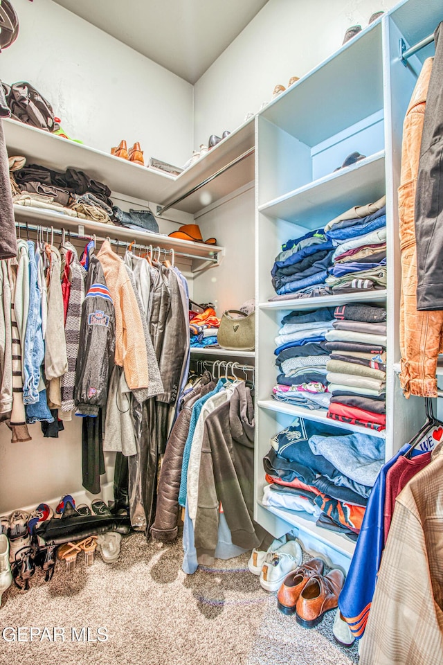 walk in closet featuring carpet flooring