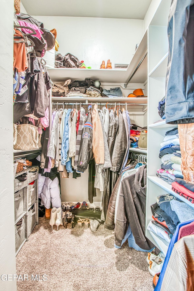 walk in closet featuring carpet flooring