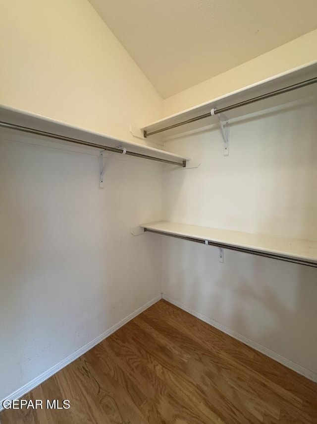 spacious closet with dark hardwood / wood-style flooring