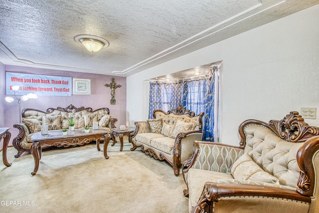 living room with carpet flooring and a textured ceiling