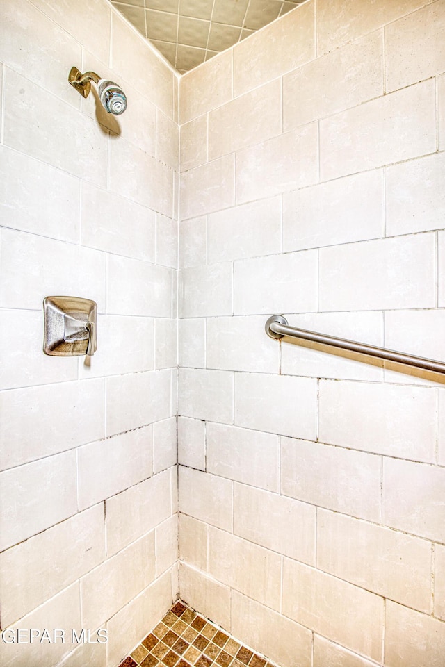 bathroom with tiled shower