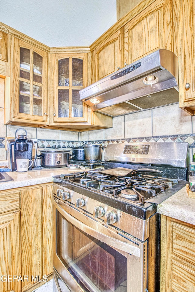 kitchen with stainless steel gas stove and tasteful backsplash