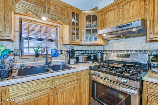 kitchen featuring stainless steel gas stove, tasteful backsplash, and sink