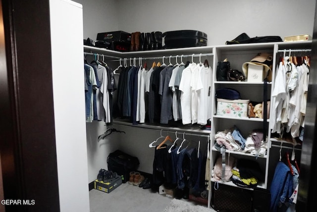 view of walk in closet