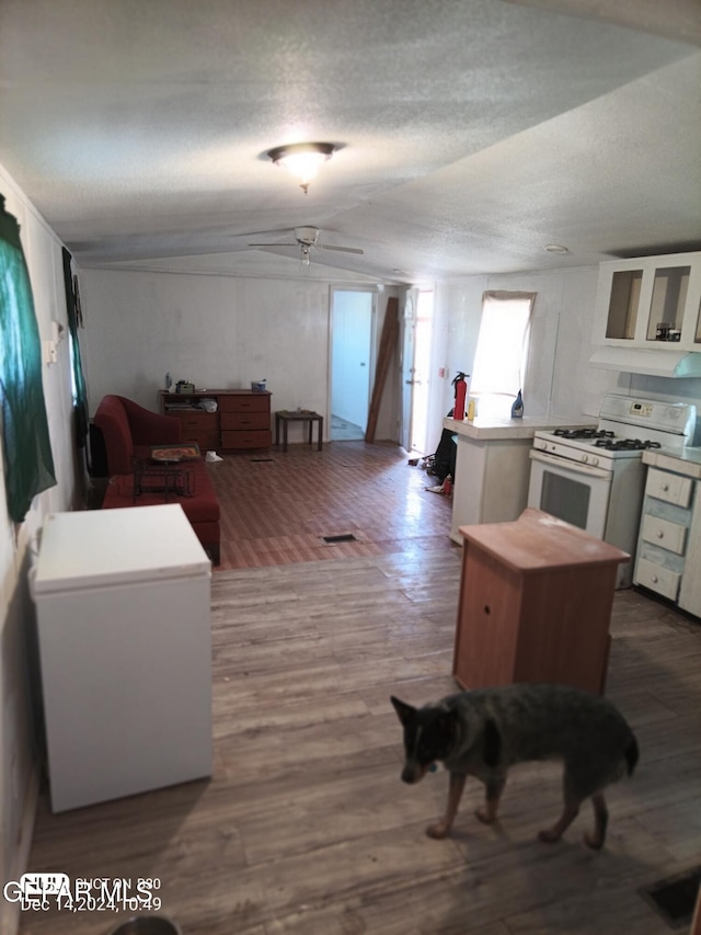 kitchen featuring hardwood / wood-style floors, white cabinets, kitchen peninsula, white gas stove, and a textured ceiling