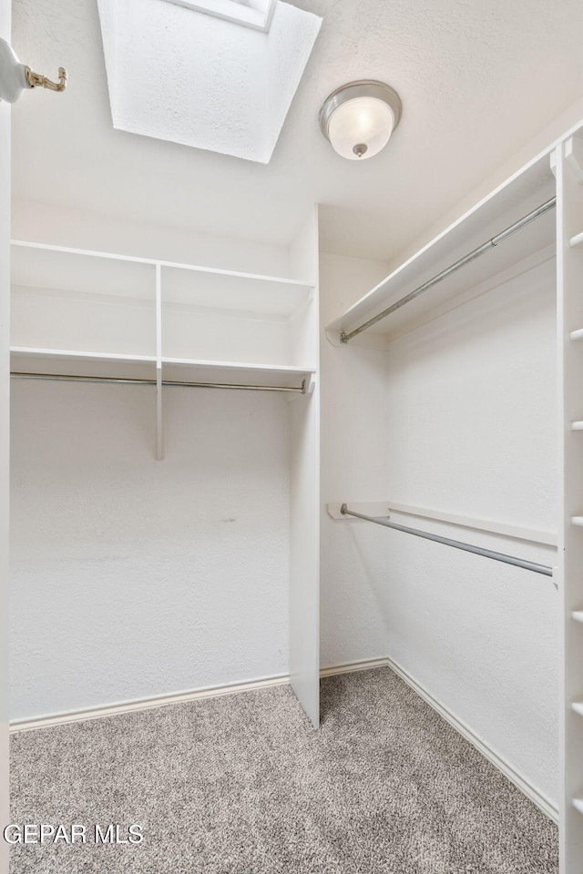 spacious closet with carpet and a skylight