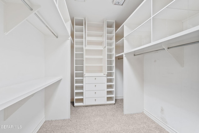 spacious closet featuring carpet flooring