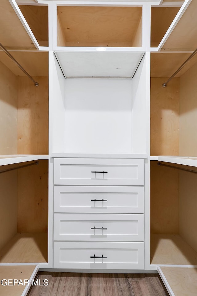 spacious closet with hardwood / wood-style flooring