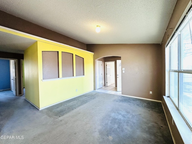 empty room featuring lofted ceiling, a textured ceiling, and carpet floors