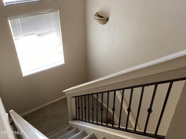 stairs featuring carpet floors