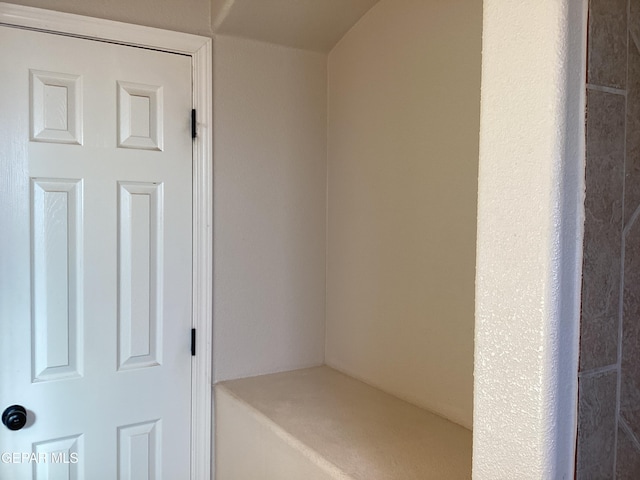 12933 Hidden Grove Dr, El Paso, TX 79938 - view of closet