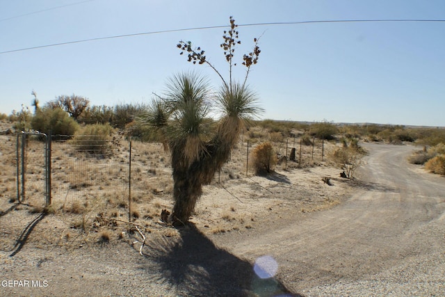 view of local wilderness with a rural view