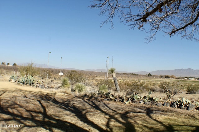 view of yard featuring a mountain view