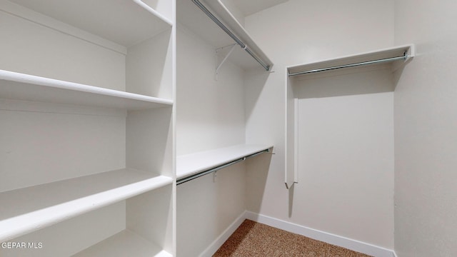 spacious closet with carpet