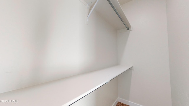 spacious closet with carpet floors