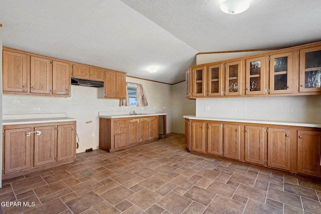 kitchen with a textured ceiling, sink, and vaulted ceiling