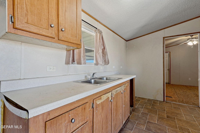 kitchen featuring lofted ceiling, sink, ceiling fan, ornamental molding, and a textured ceiling