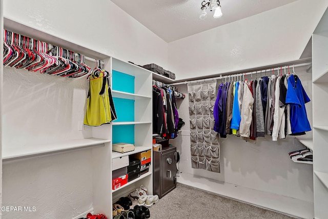 spacious closet with carpet flooring