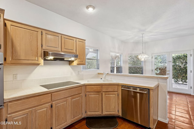 kitchen featuring a wealth of natural light, black electric stovetop, stainless steel dishwasher, and sink