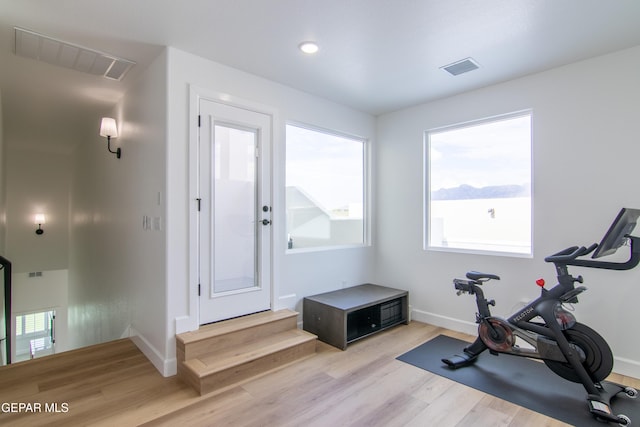 workout room with light hardwood / wood-style flooring