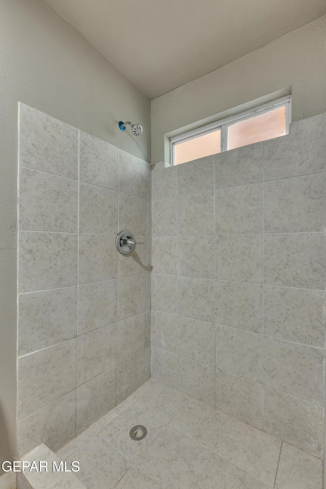 bathroom with a tile shower and a healthy amount of sunlight