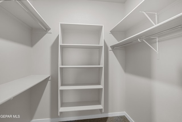 spacious closet with carpet floors