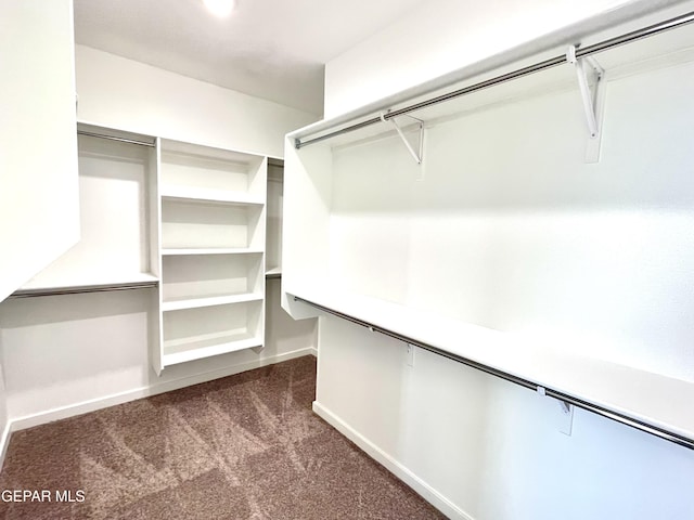 walk in closet with dark colored carpet