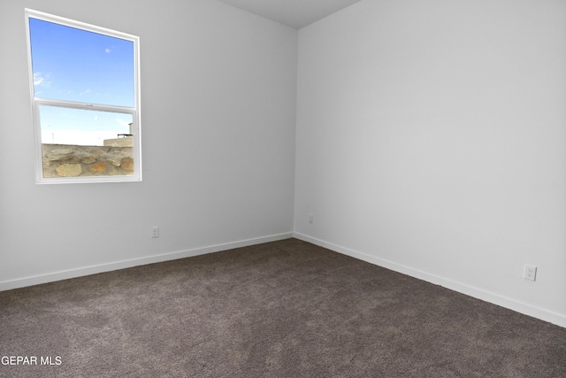 spare room featuring carpet