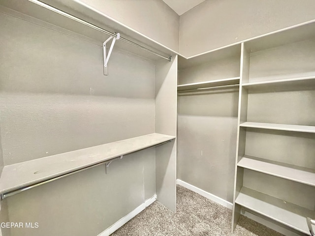 walk in closet featuring carpet