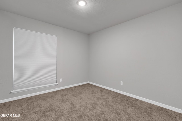 empty room featuring carpet flooring